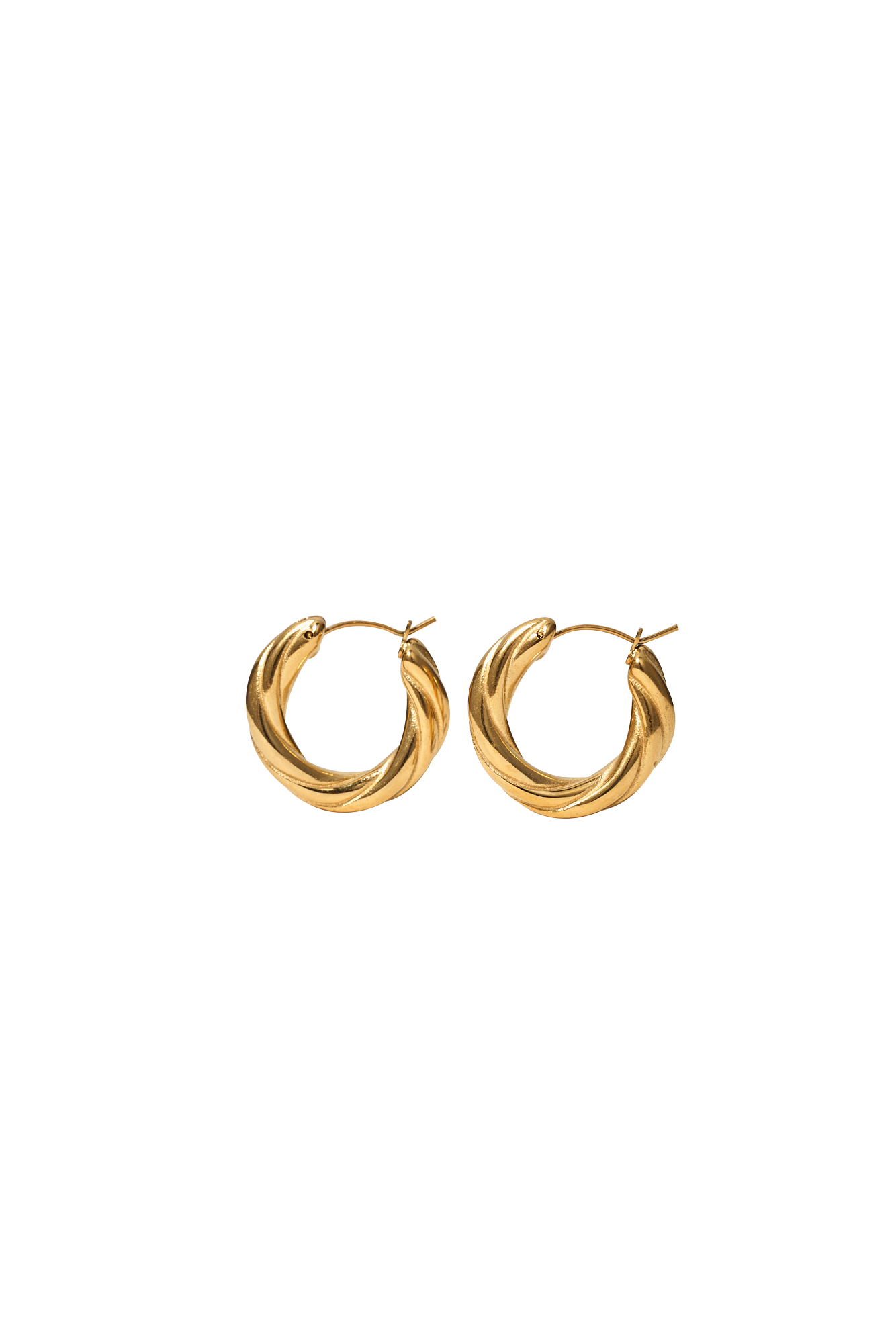 THE LEO HOOP EARRINGS