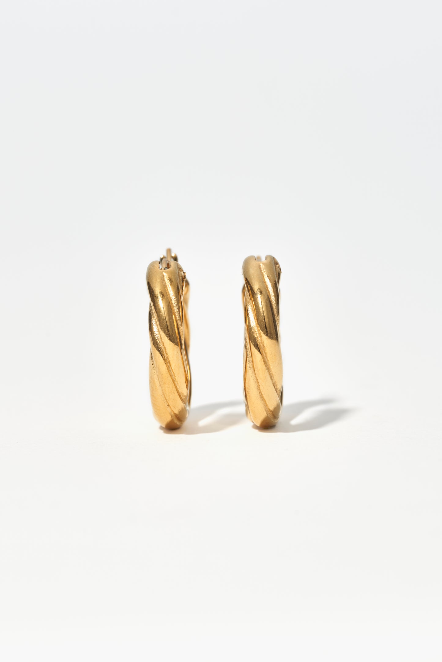 THE LEO HOOP EARRINGS